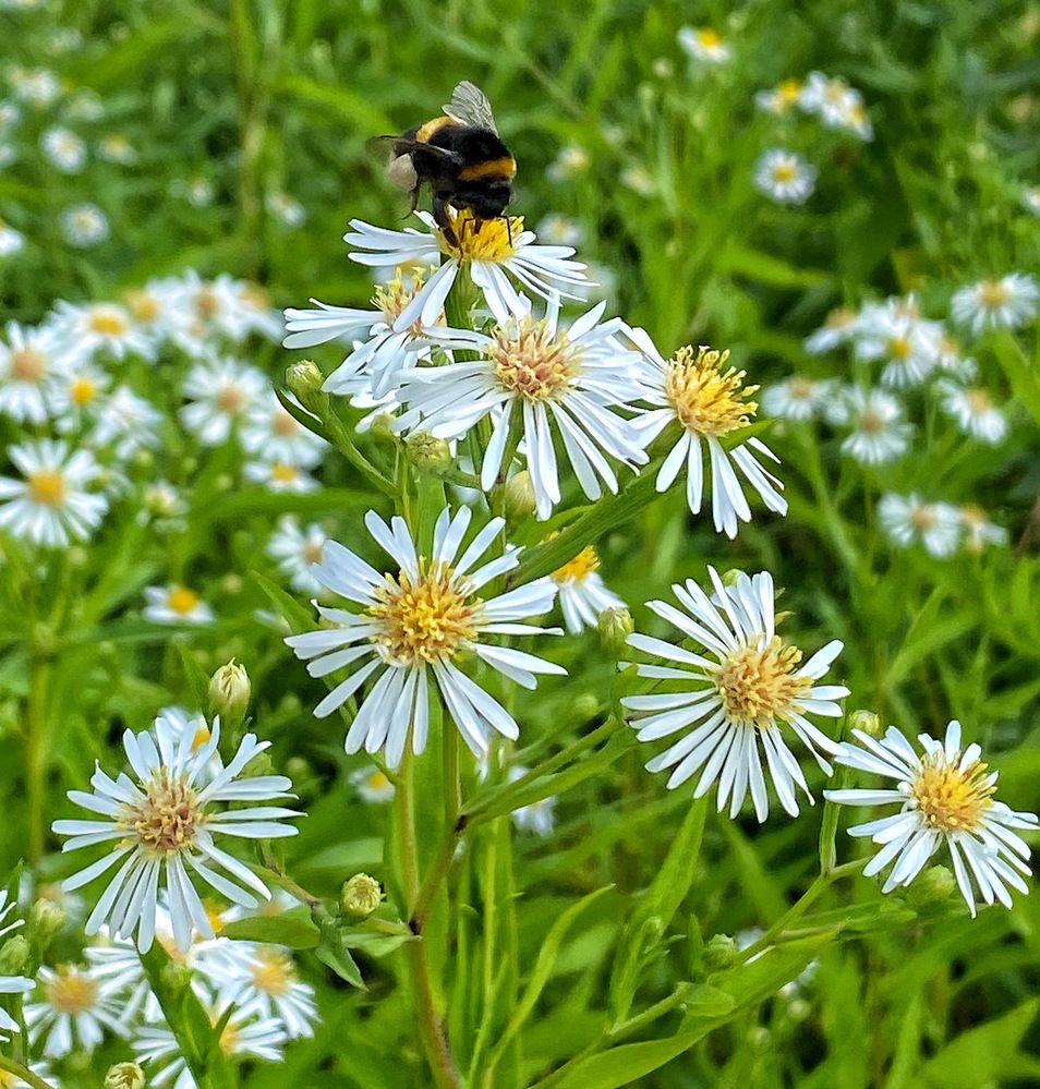 Photograph by Василина Щеглова
