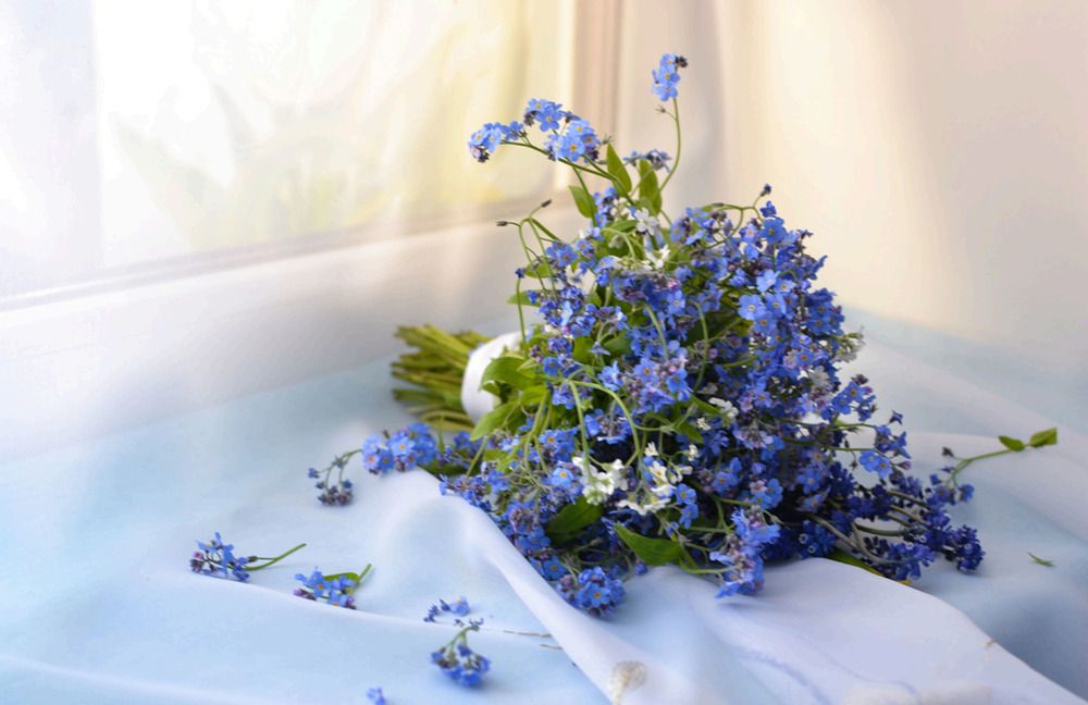 Photograph by Оксана Радзиевская