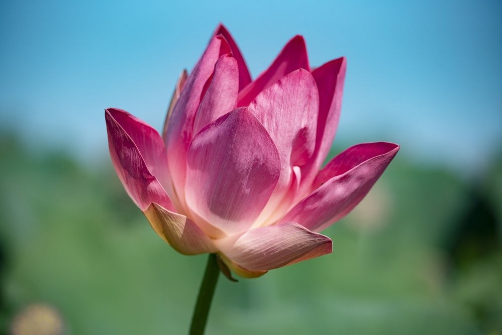 Photograph by Gurdina Lena