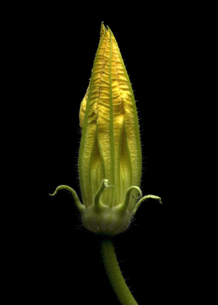 Photograph by Dar Veter