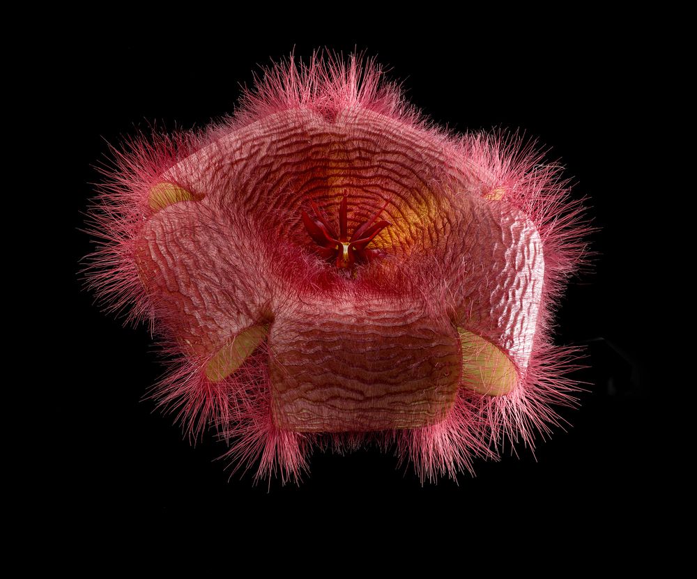 Photograph by Dar Veter