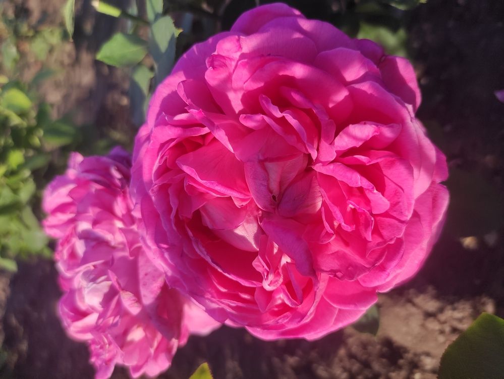 Photograph by Юлия Новожилова