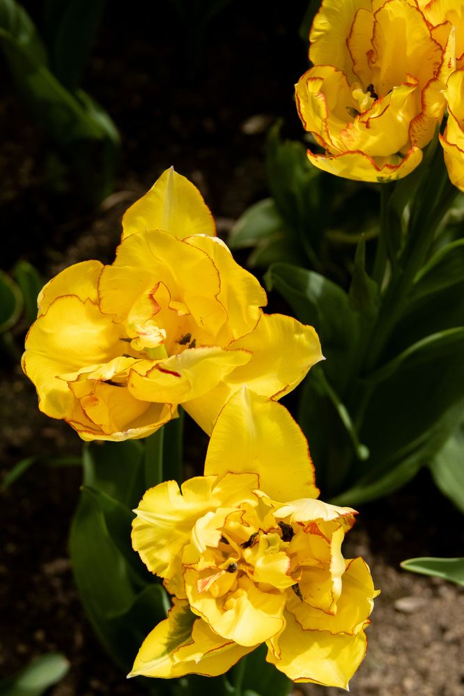 Photograph by Ксения Золотарь