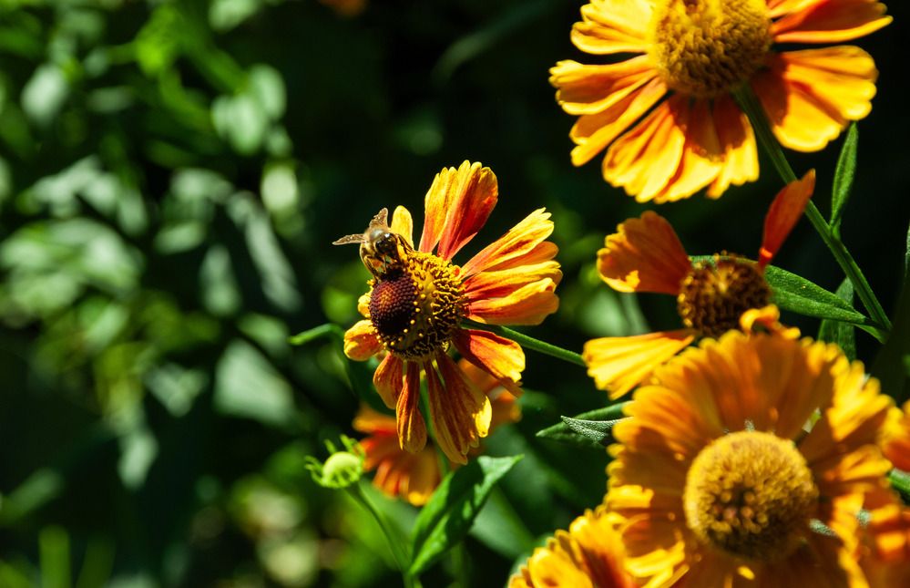 Photograph by Милена Полтавец