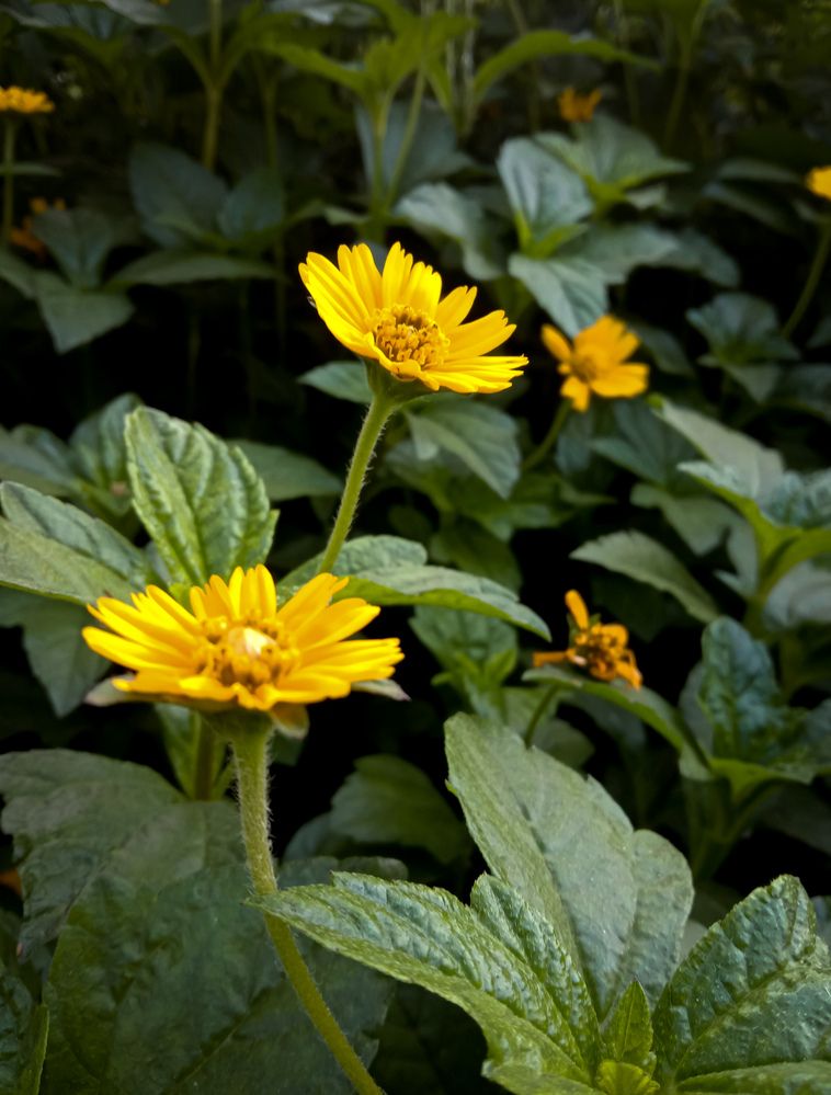 Photograph by Kishan Upadhyay