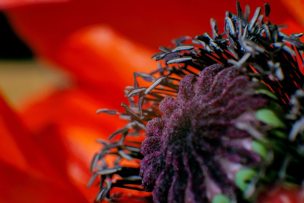 Photograph by Andrey