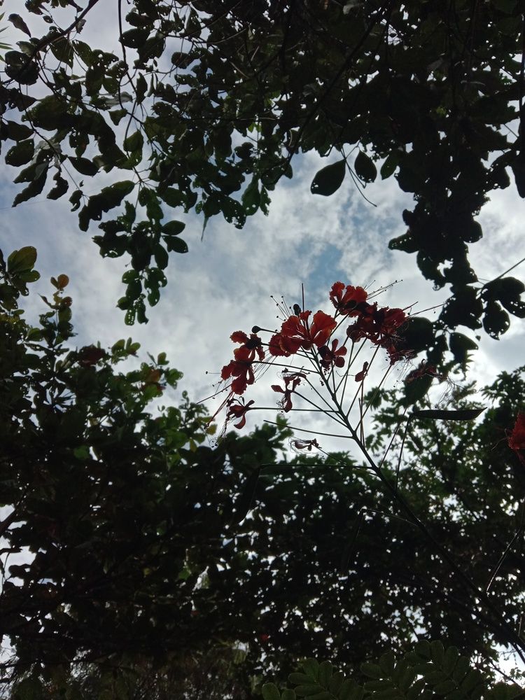 Photograph by Kishan Upadhyay