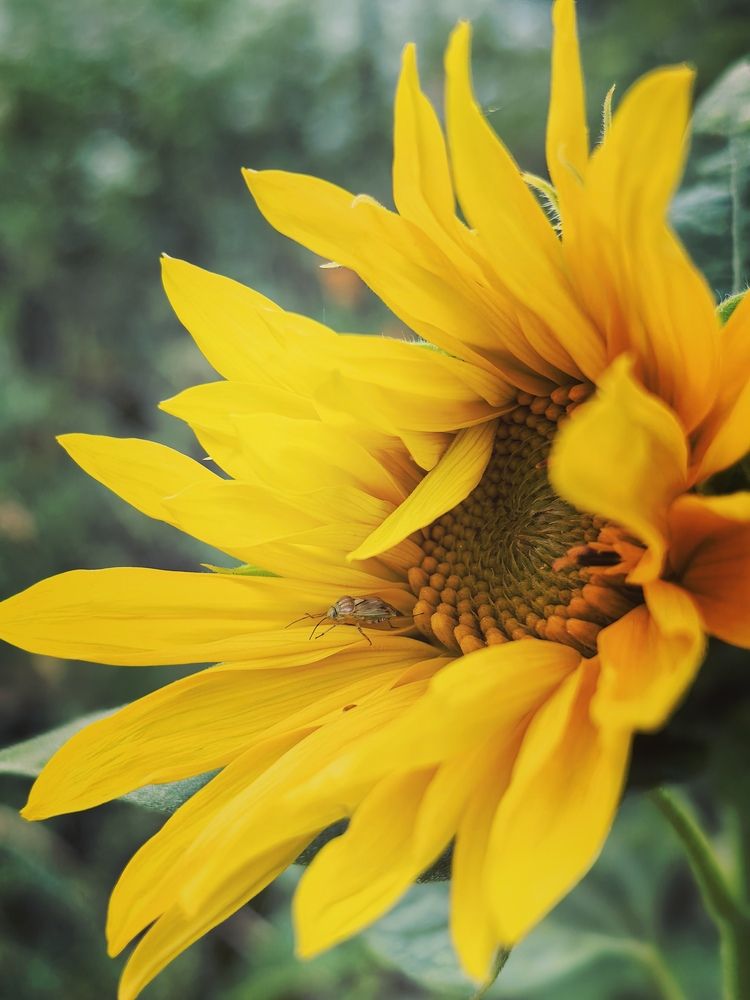 Photograph by Анна Якубинас