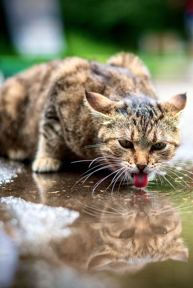 Photograph by Демьян Лопатов