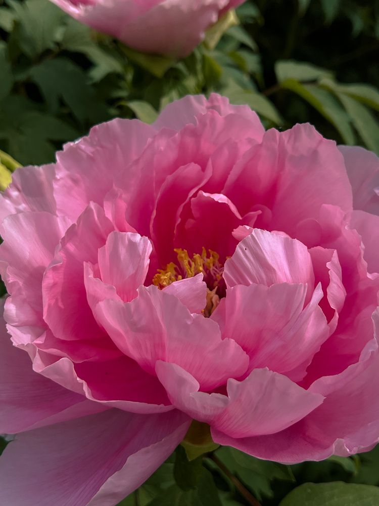 Photograph by Eugenia Schmidt