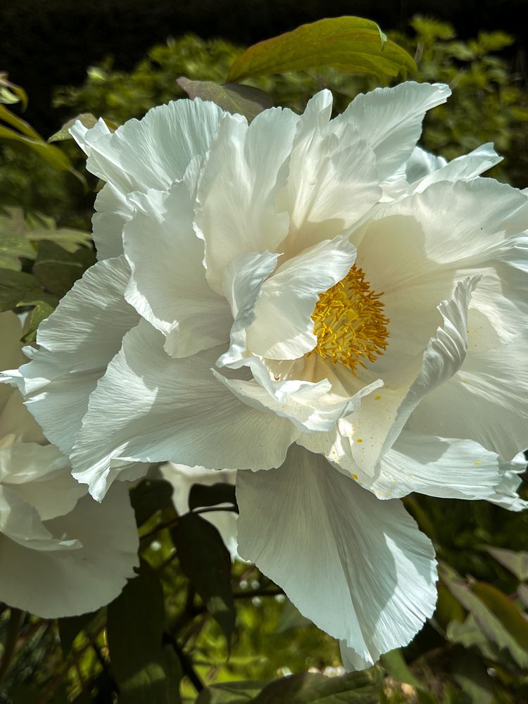 Photograph by Eugenia Schmidt