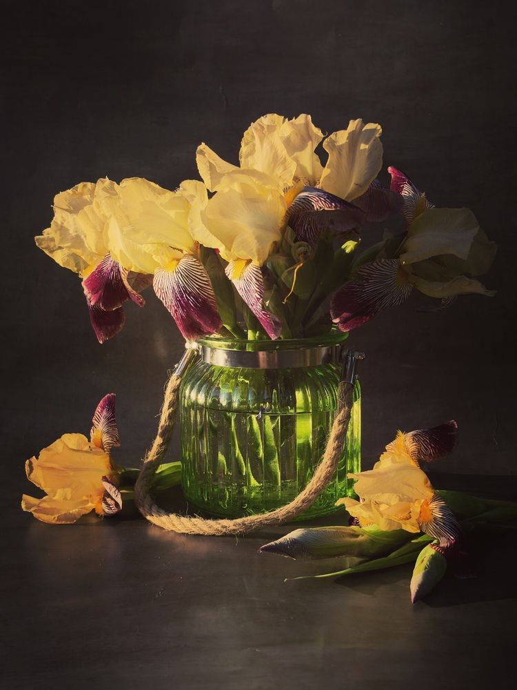 \"Солнечные ирисы\"