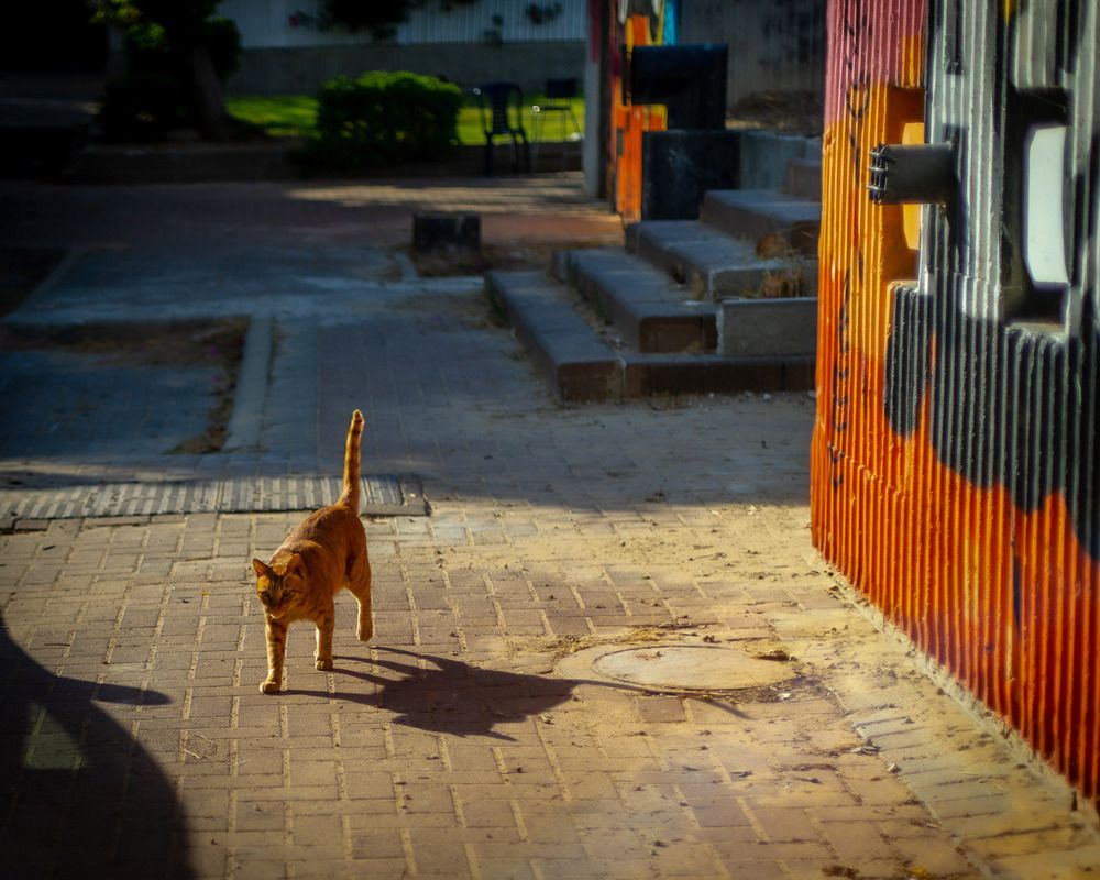 Photograph by Анжелика Нагирнер