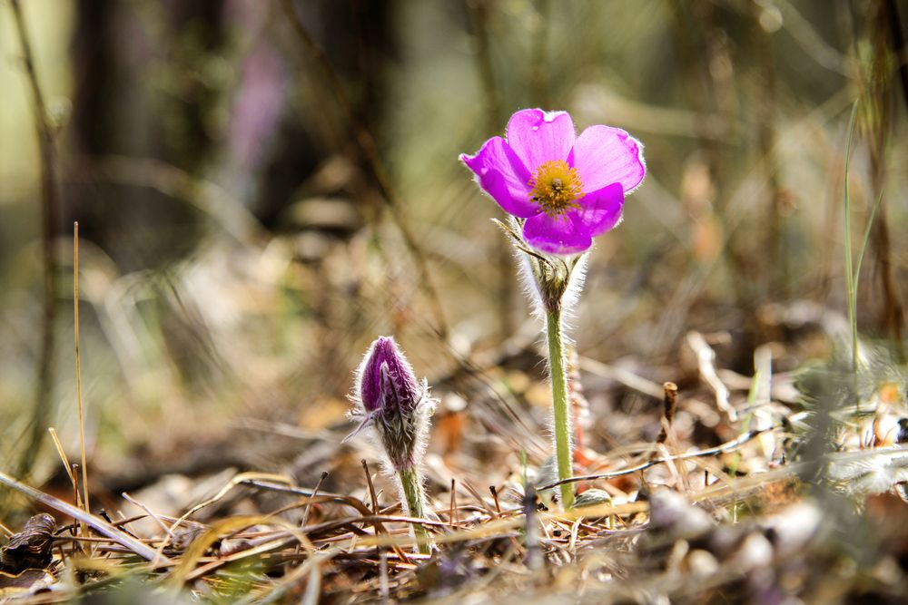 Фотография автора Михаил Кругов
