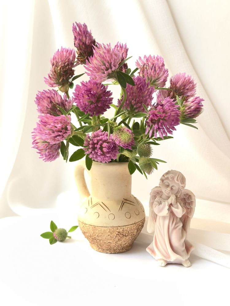 Photograph by Анна Якубинас