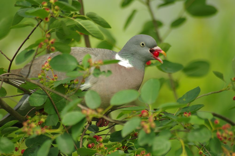 Photograph by Василий Богомолов