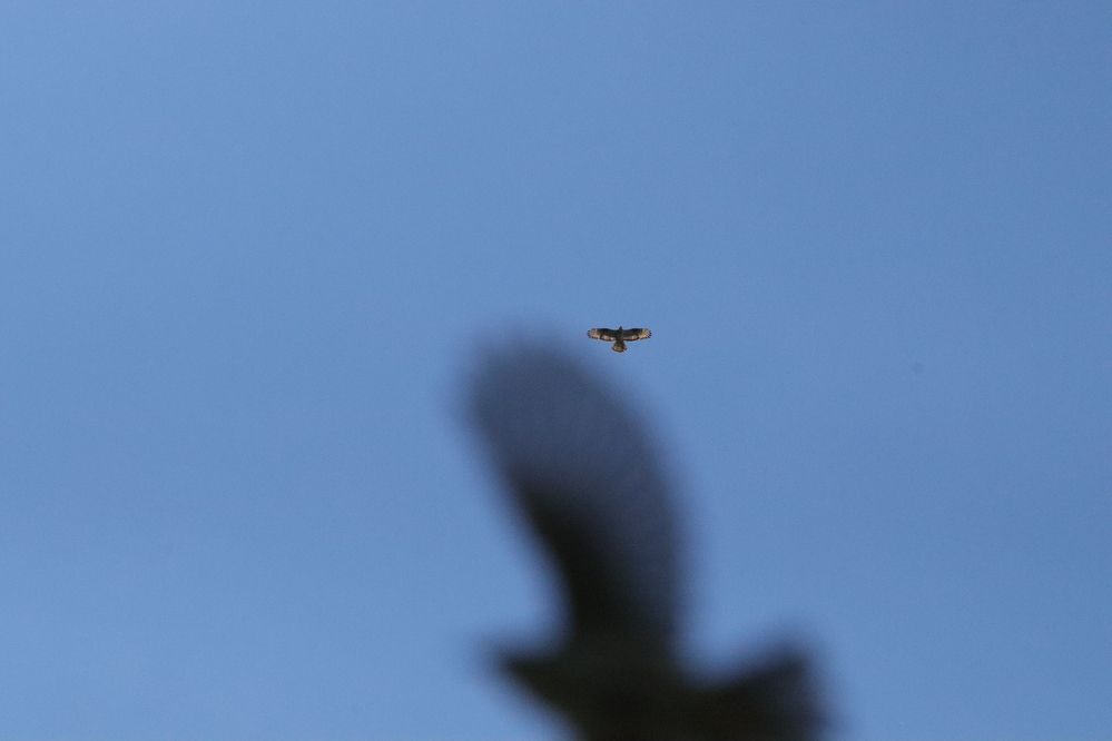 Photograph by Екатерина Александровна