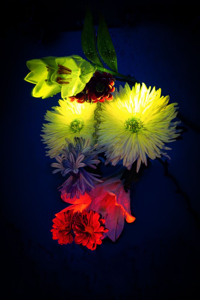 Photograph by Анжелика Нагирнер