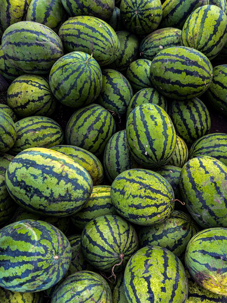 Фотография автора Галина Шиманцова