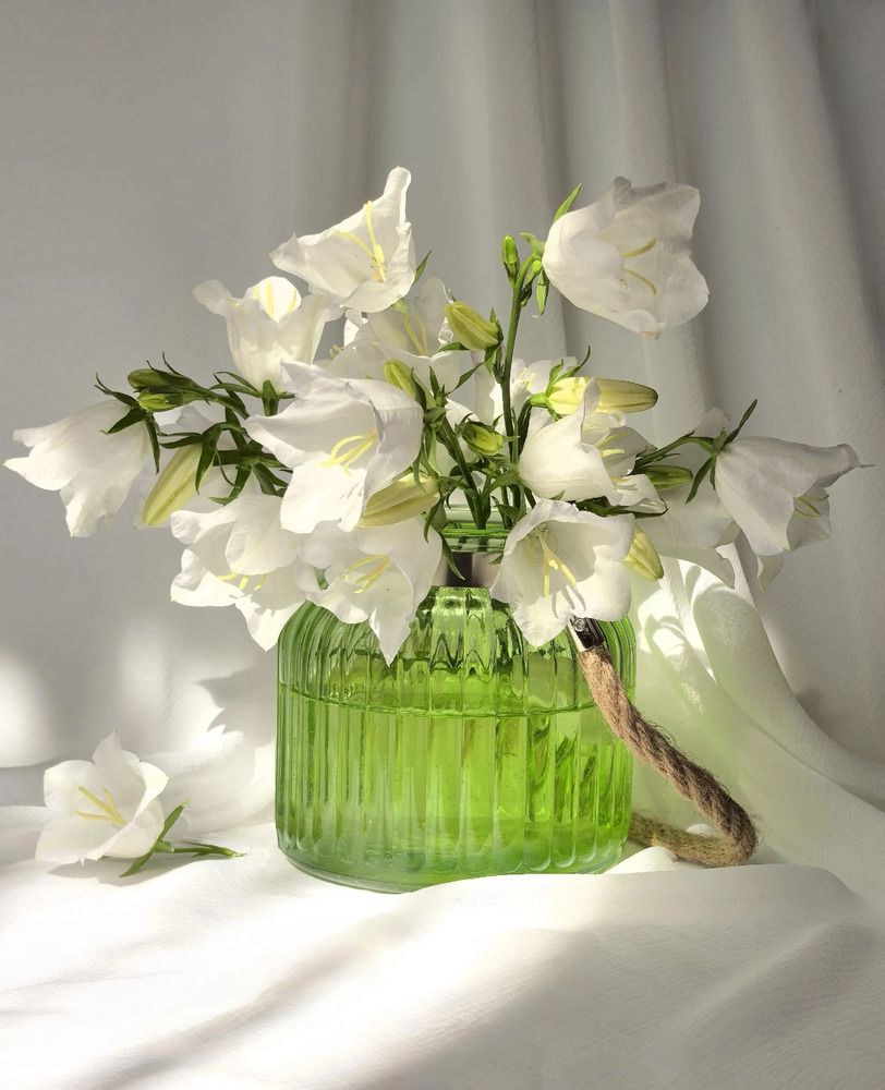 Photograph by Анна Якубинас