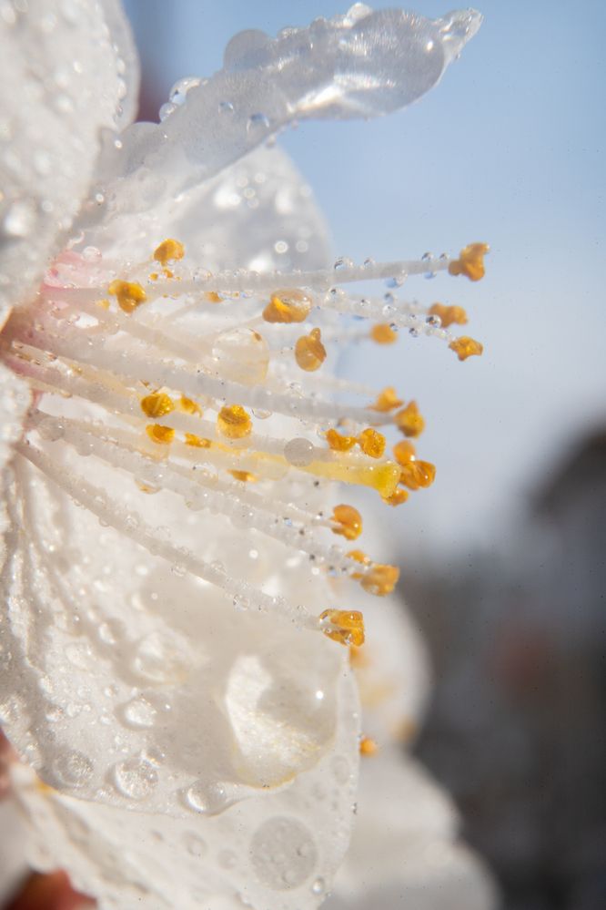 Photograph by Артём Гуцалюк