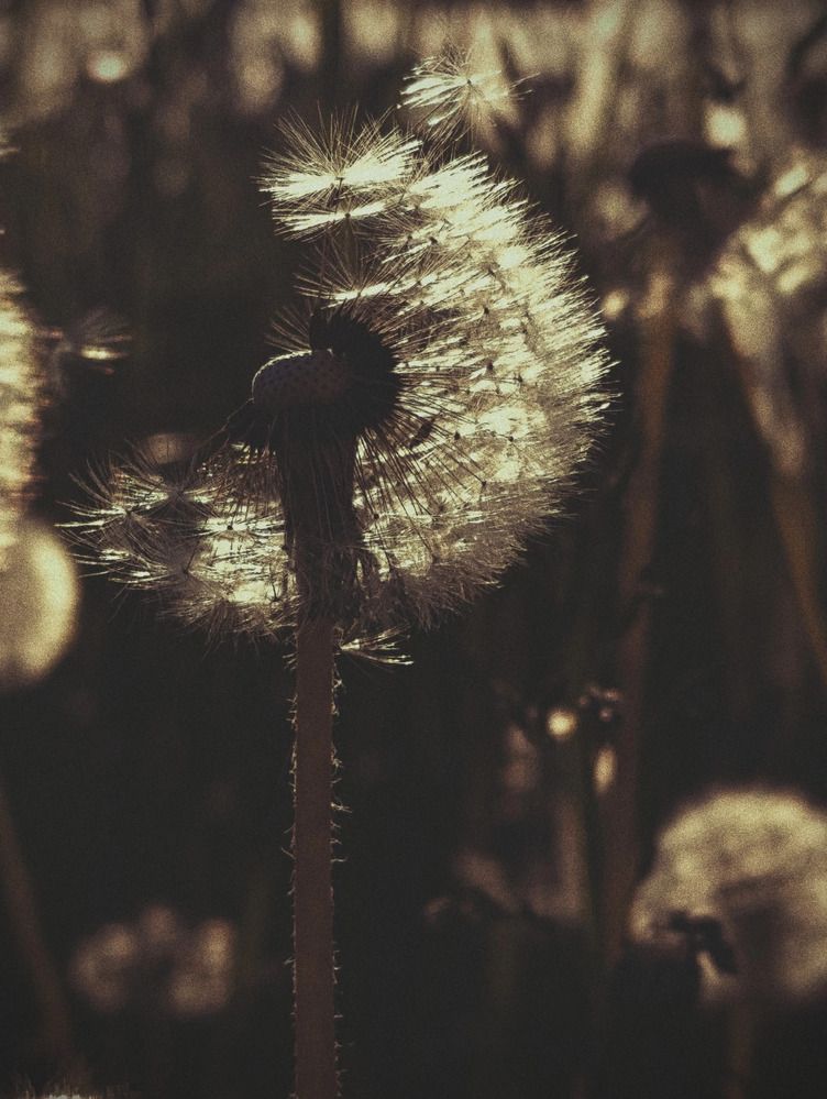 Photograph by Наталья Смирнова