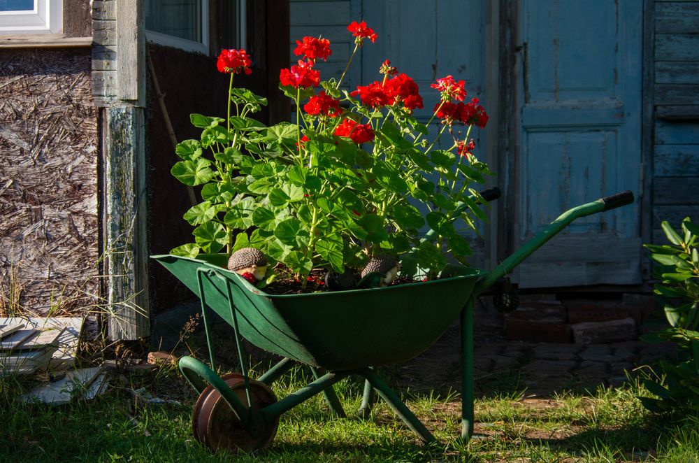 Photograph by Василий Богомолов