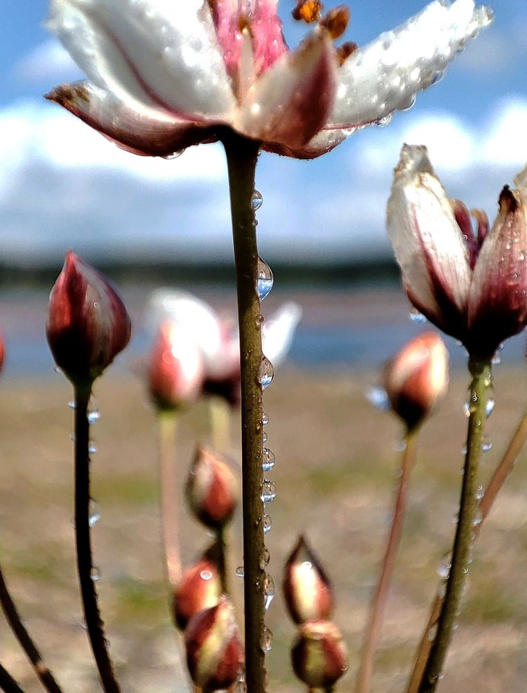 Photograph by Наталья Смирнова