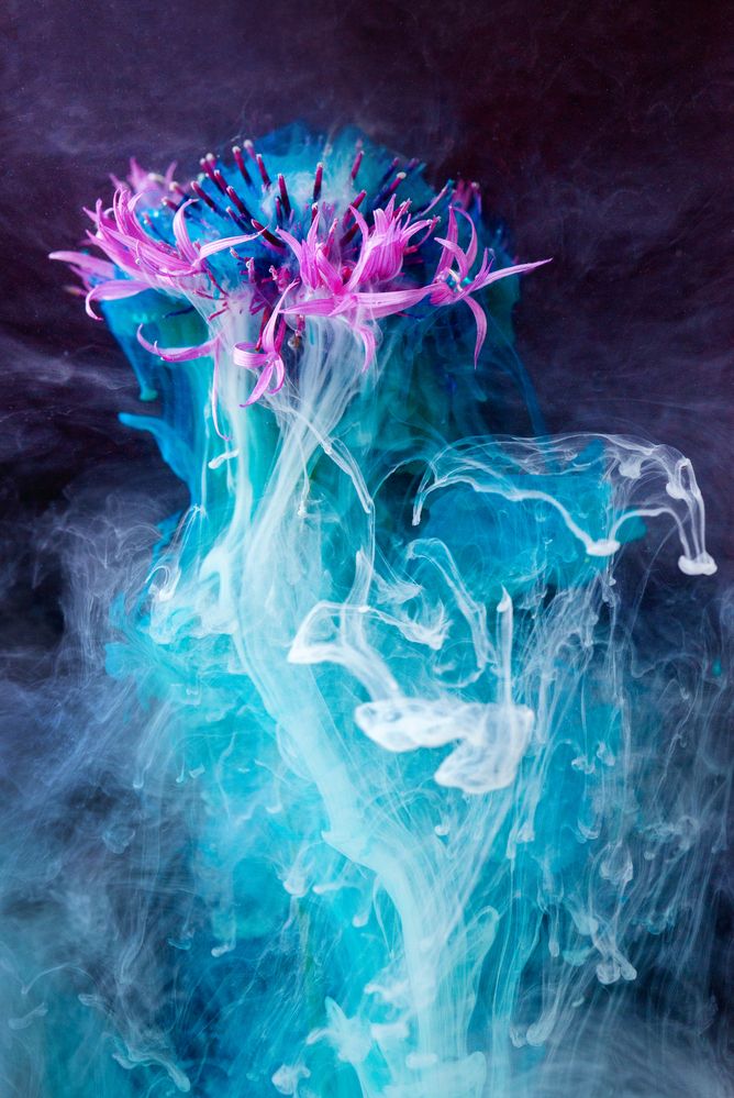 Фотография автора  Inga Ivanova APCA, EPCA, EPCA/B, P IAAP