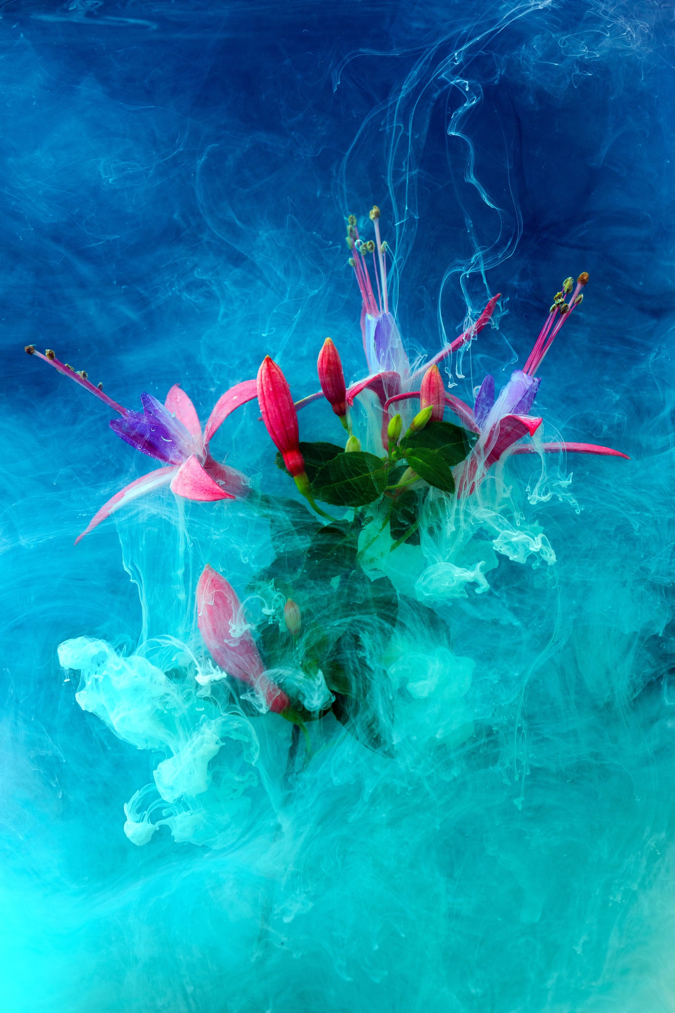 Photograph by Ivanova Inga