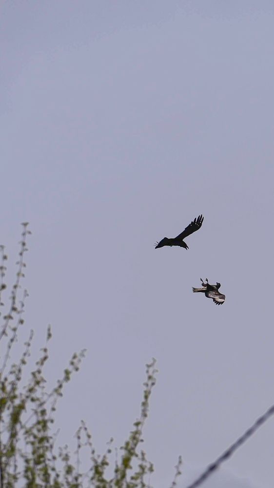 Photograph by Михаил Трусов