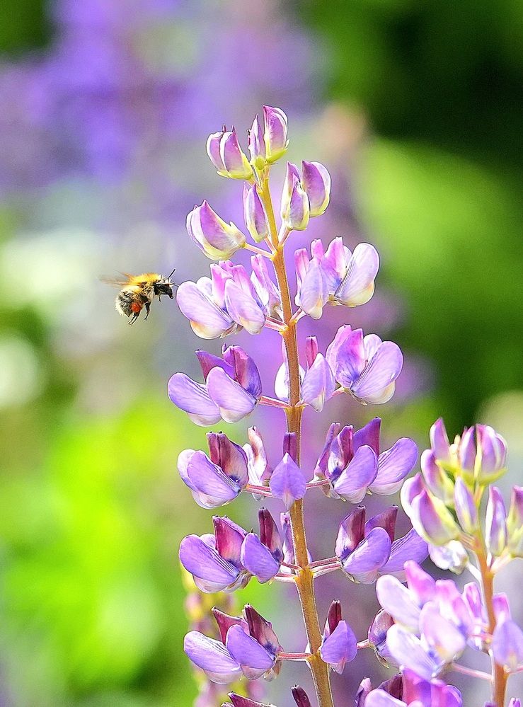 Photograph by Михаил Трусов