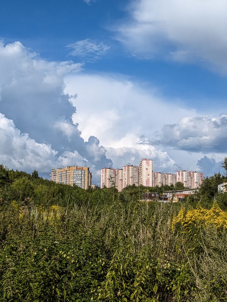 Photograph by Софья Титова