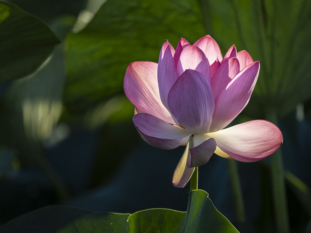 Photograph by Марина Маликова