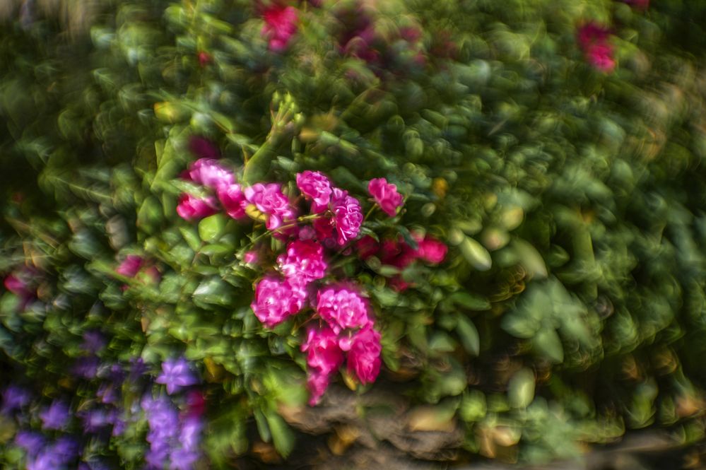 Photograph by Александр Журавлев