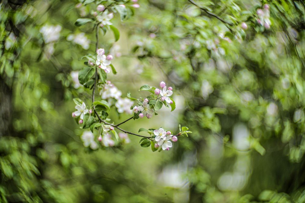 Photograph by Александр Журавлев