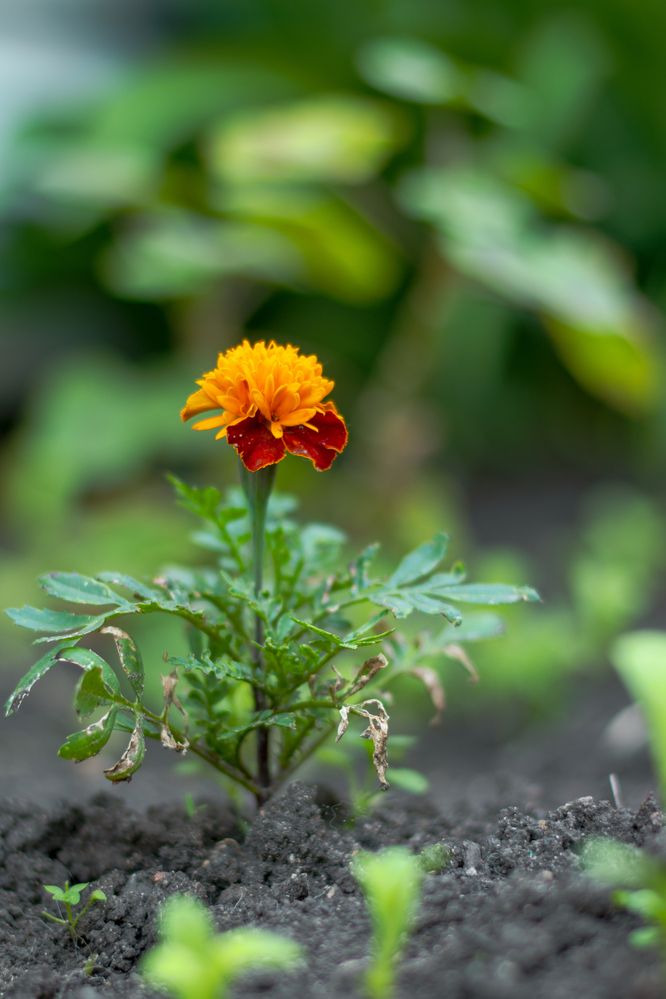 Photograph by Ирина Корнева