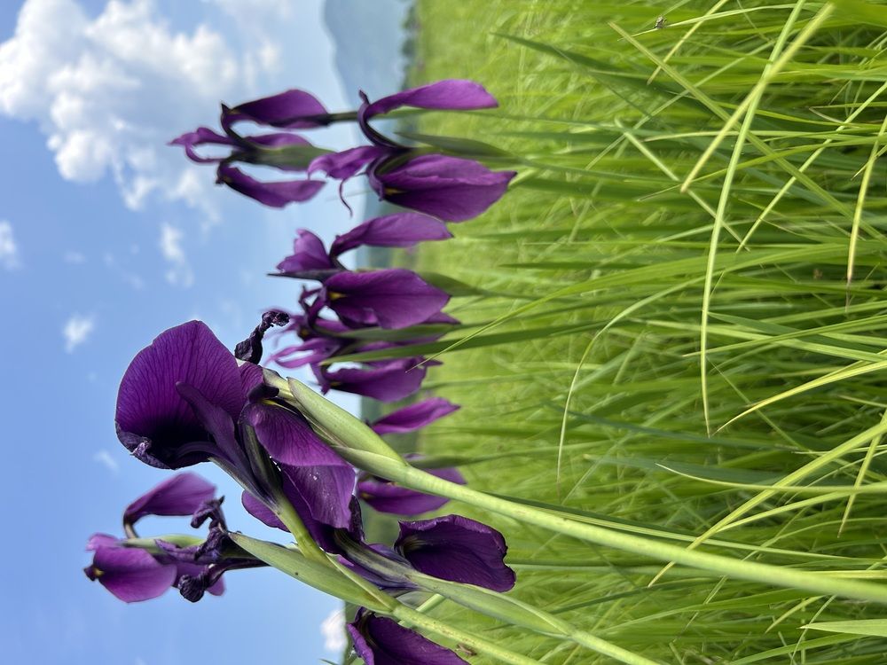 Photograph by Елена Власова