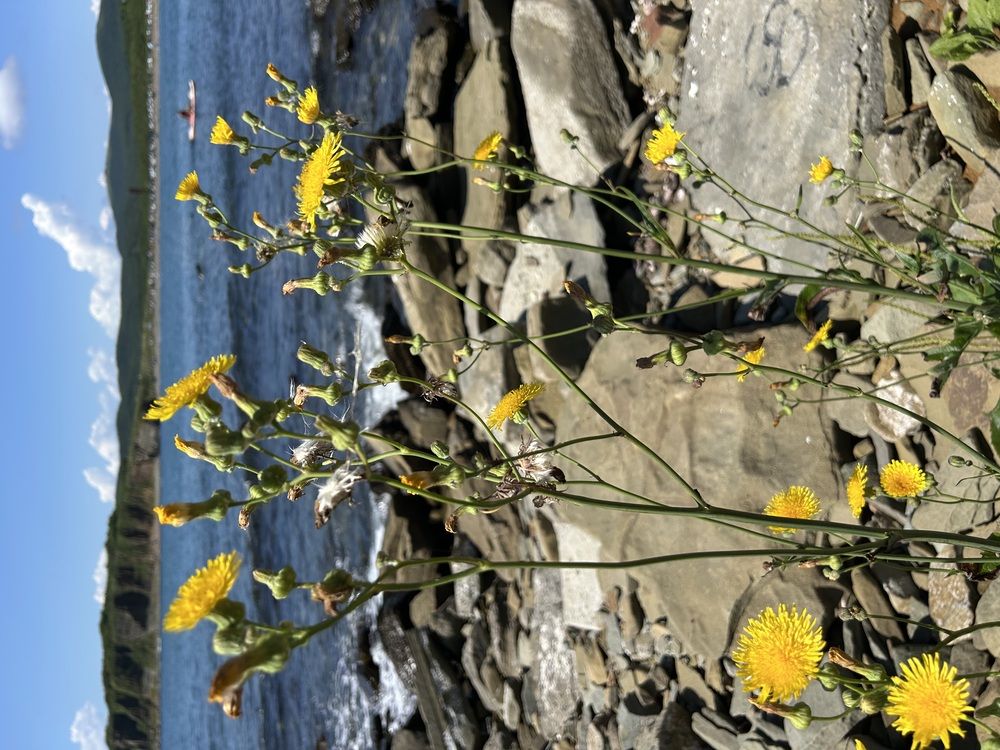 Photograph by Елена Власова