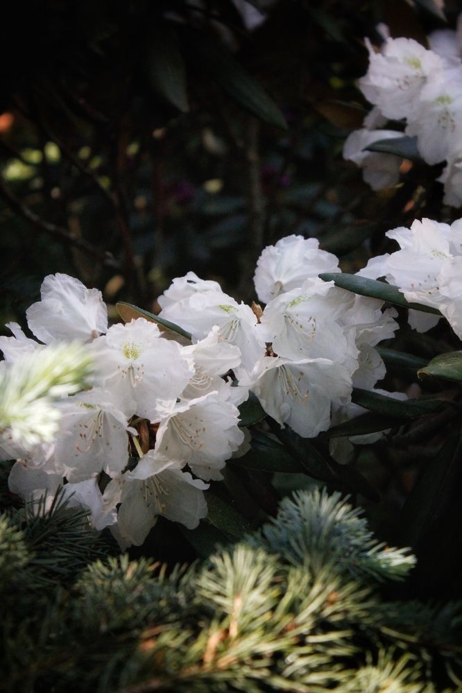 Photograph by Астафьева Анастасия