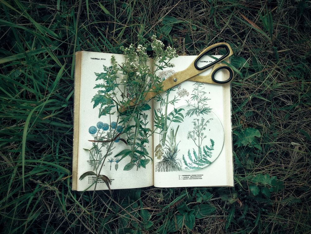 Справочник