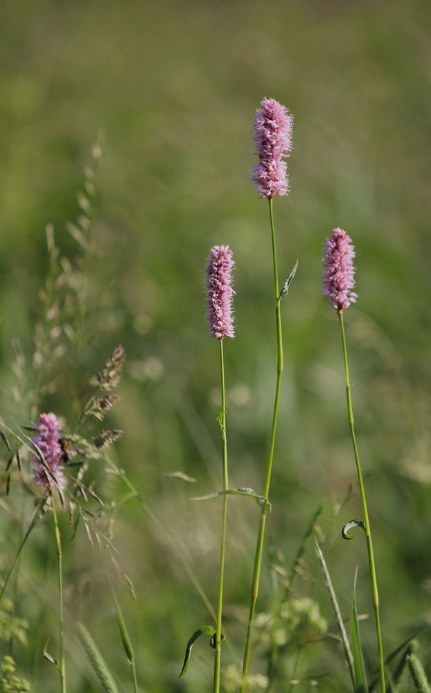 Photograph by Татьяна Сычёва