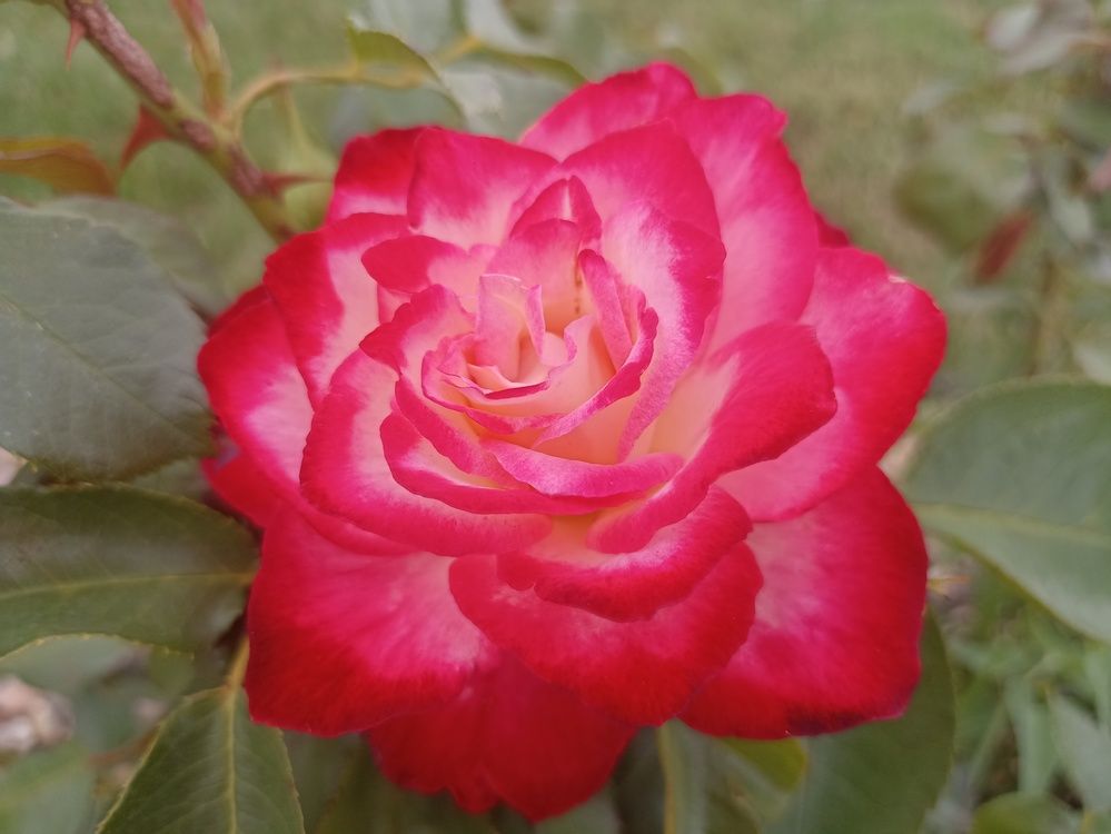 Photograph by Юлия