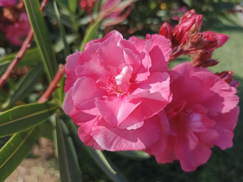 Photograph by Юлия