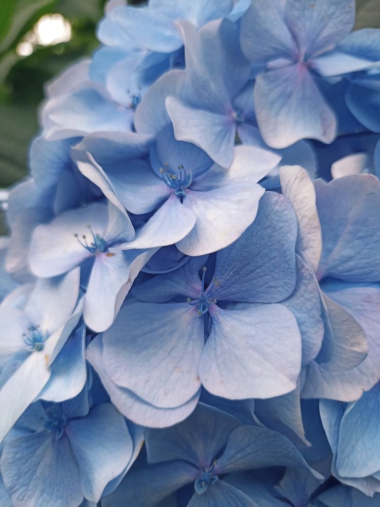 Photograph by Юлия