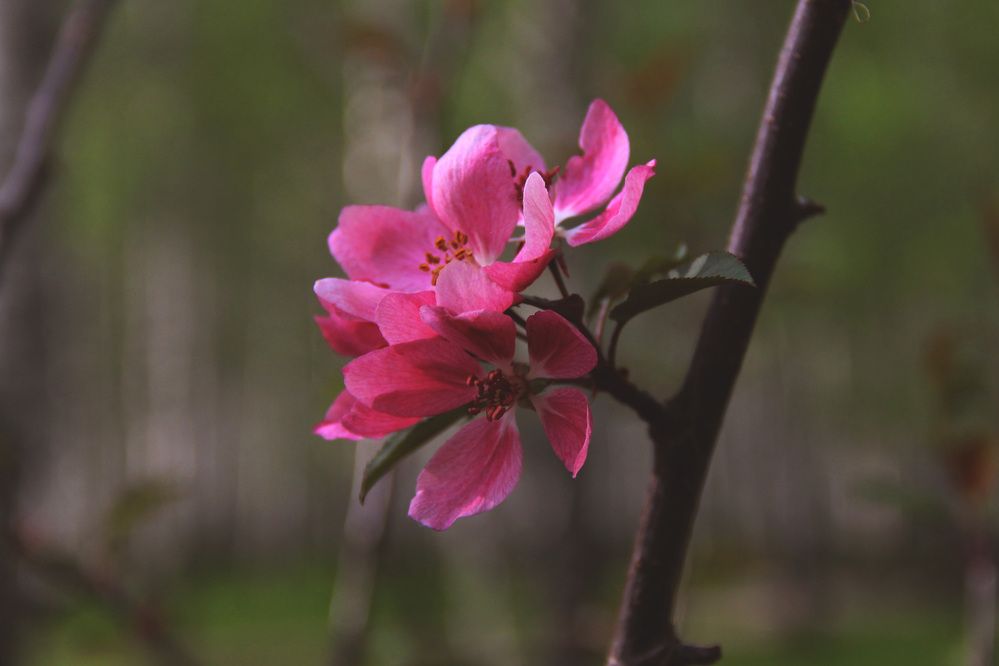 Photograph by Полина Овчинникова