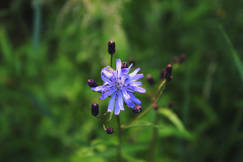 Photograph by Полина Овчинникова