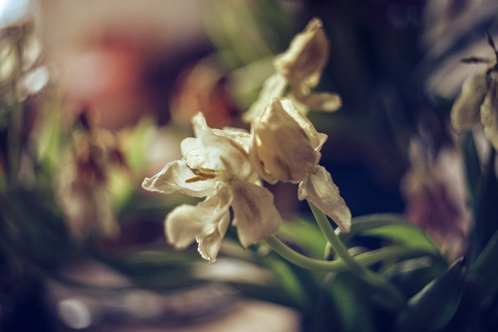 Photograph by Ольга Хентова