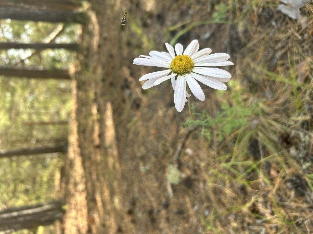 Photograph by Анна Киселева