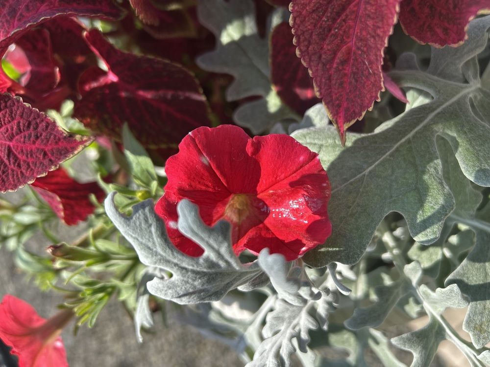 Photograph by Анна Киселева